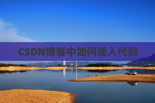 CSDN博客中如何插入代码